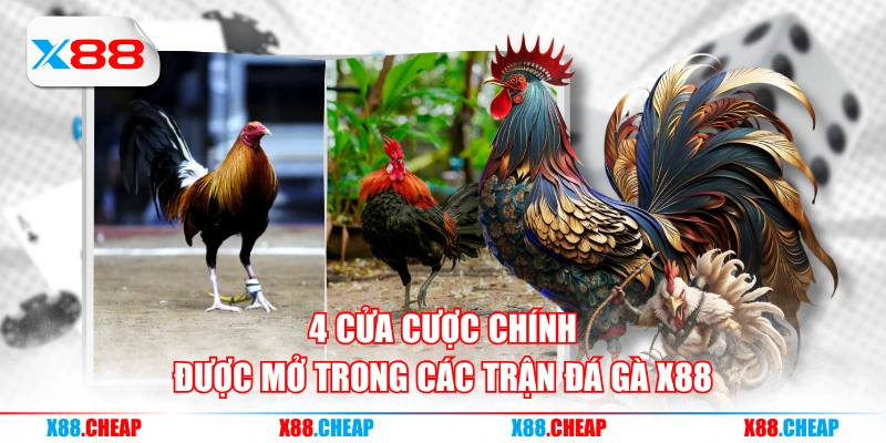 4 cửa cược chính được mở trong các trận đá gà X88